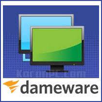 Damware remote support
